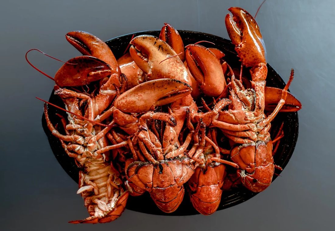 A bowl piled with freshly cooked lobsters